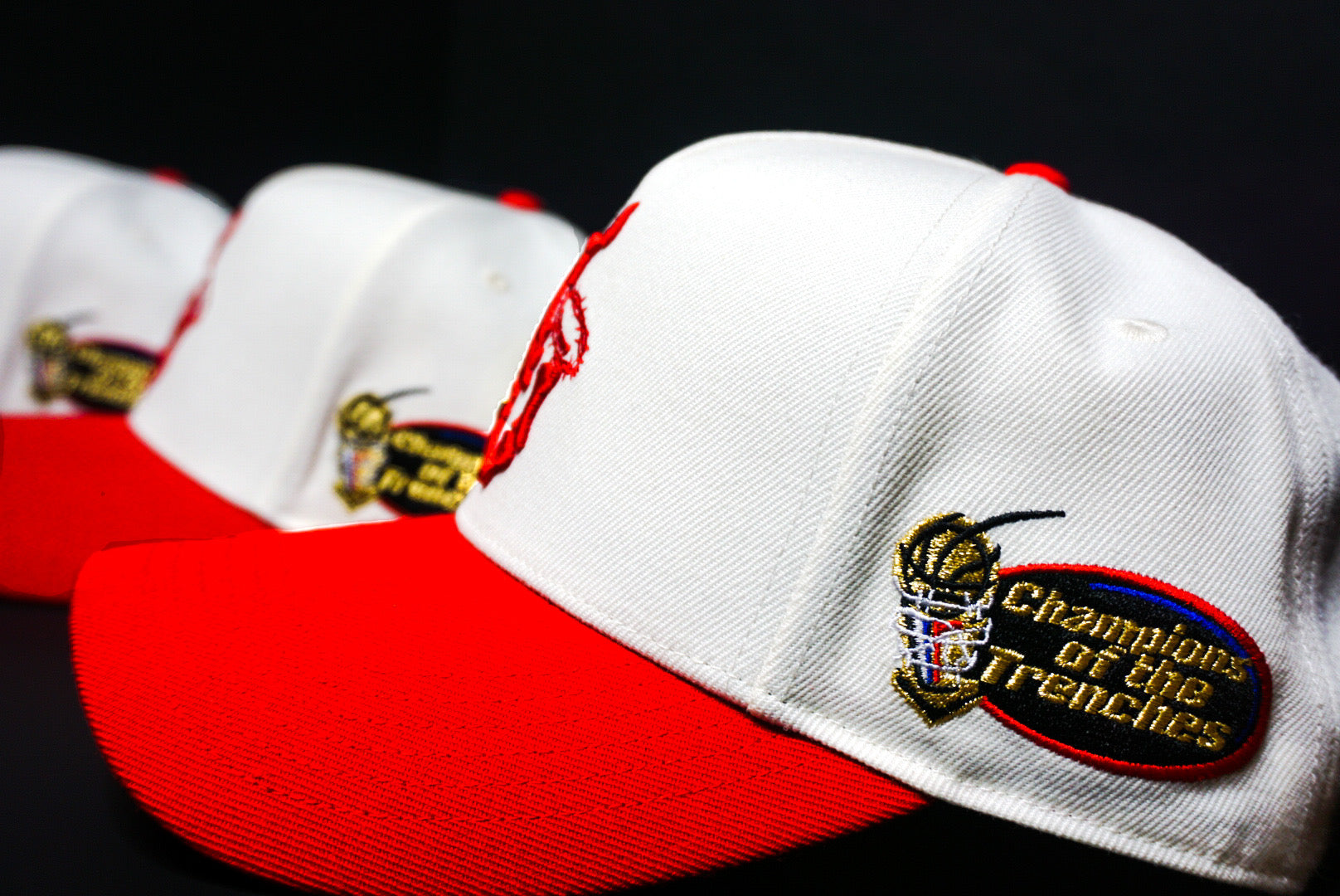 New Orleans Sainister (The Franchise)(SNAPBACK)